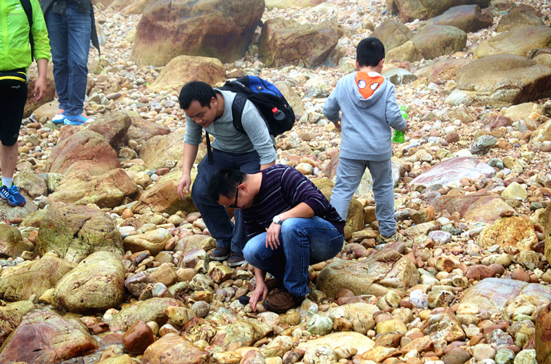 97��������Ʒ��