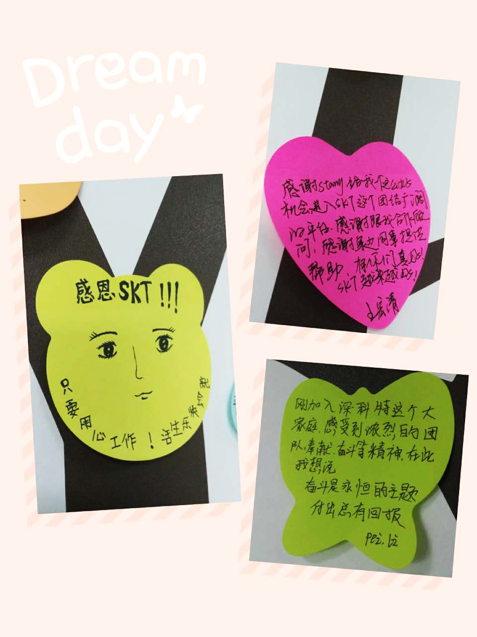 97��������Ʒ��